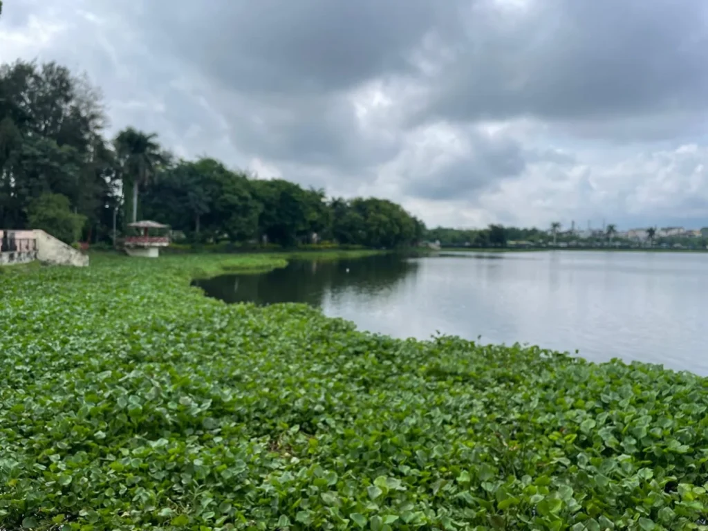 Gandhi Sagar Lake (Gaotalav) - Umred​ side view1