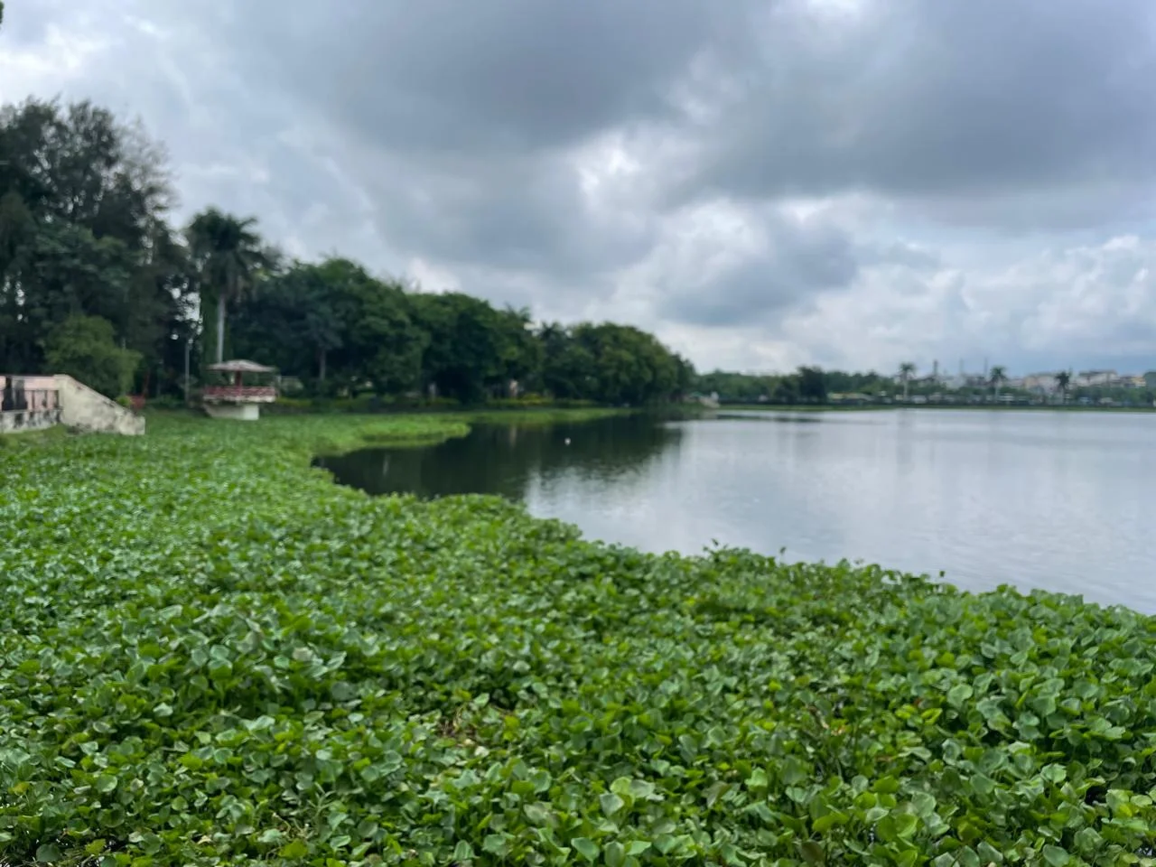 Gandhi Sagar Lake (Gaotalav) - Umred​ side view1